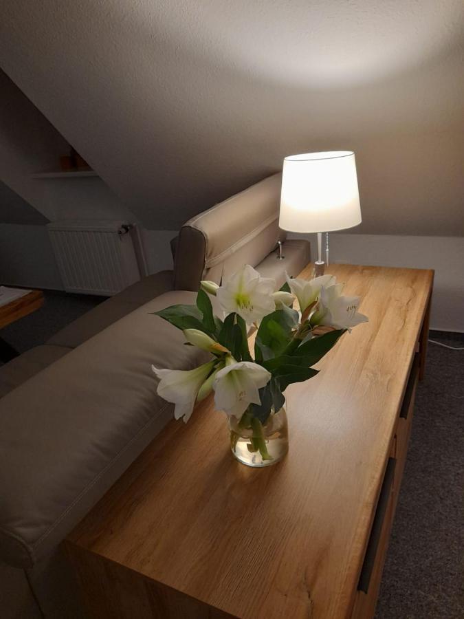 Apartmán Himmel & Hoelle, Heiligegeiststrasse 22 Quedlinburg Exteriér fotografie